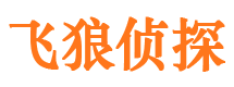 东海岛飞狼私家侦探公司